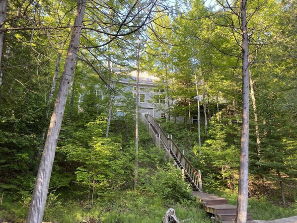 A wooden staircase leading up to a building surrounded by dense forest.