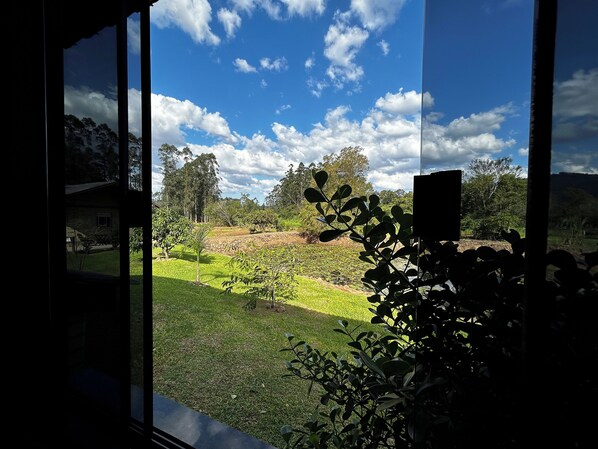 Vista desde una habitación hacia un espacio verde con árboles y cielo despejado.