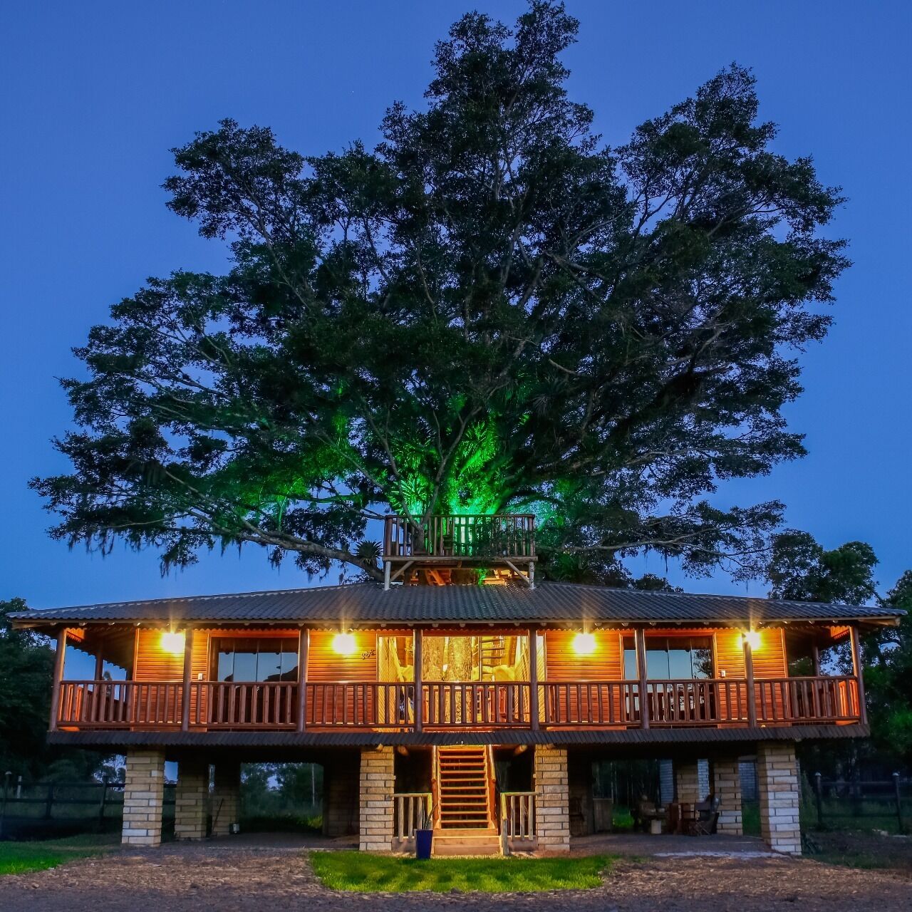 Casa de árbol de lujo | Exterior