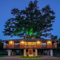 奢华树屋 | 外观