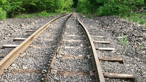 Vías de tren que conducen a un pueblo rodeado de árboles verdes frondosos.