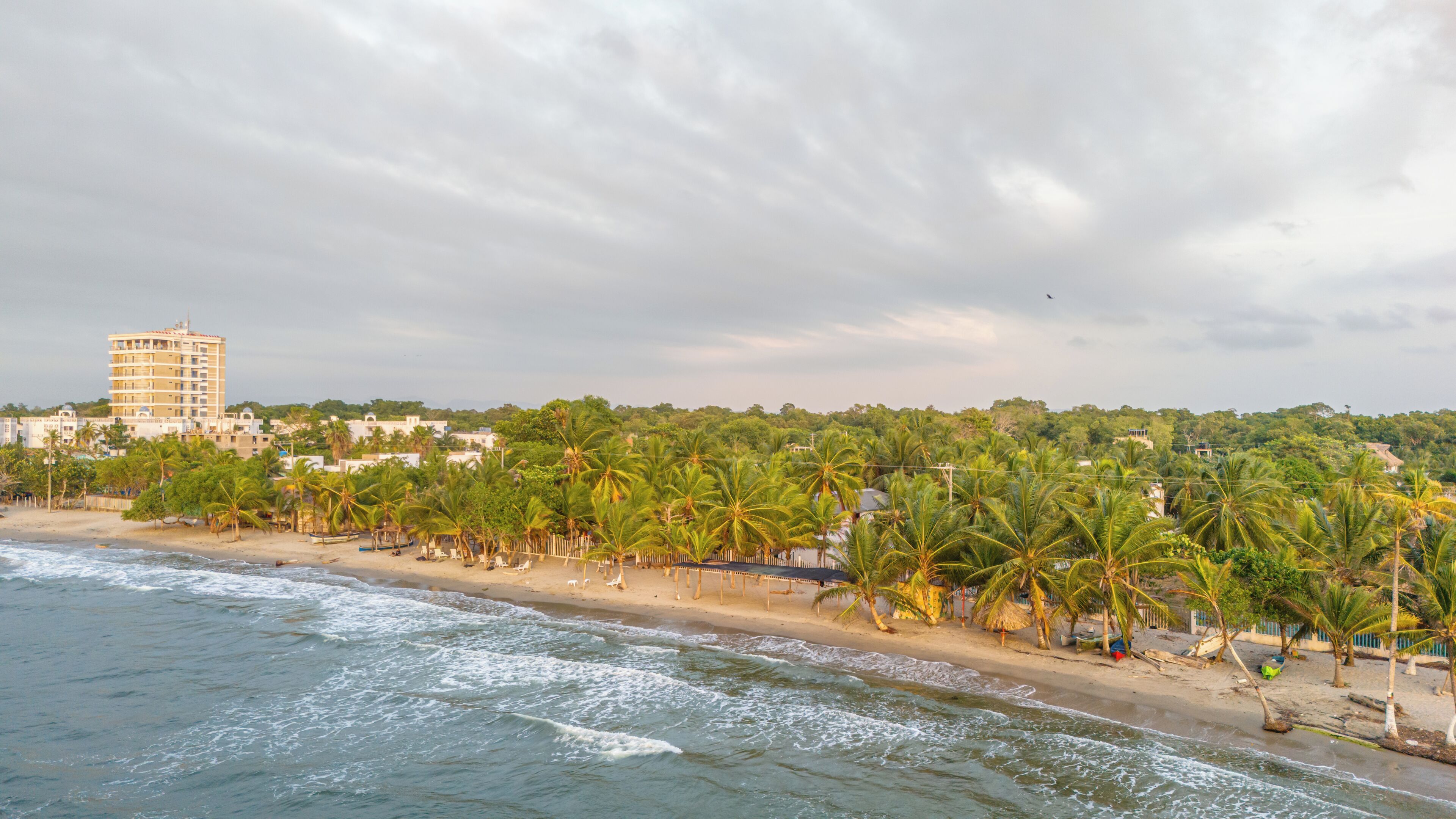 Un hôtel en bord de mer offrant une vue sur la plage, avec des palmiers et un grand immeuble en arrière-plan.