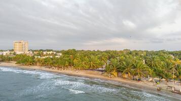 Un hôtel en bord de mer offrant une vue sur la plage, avec des palmiers et un grand immeuble en arrière-plan.