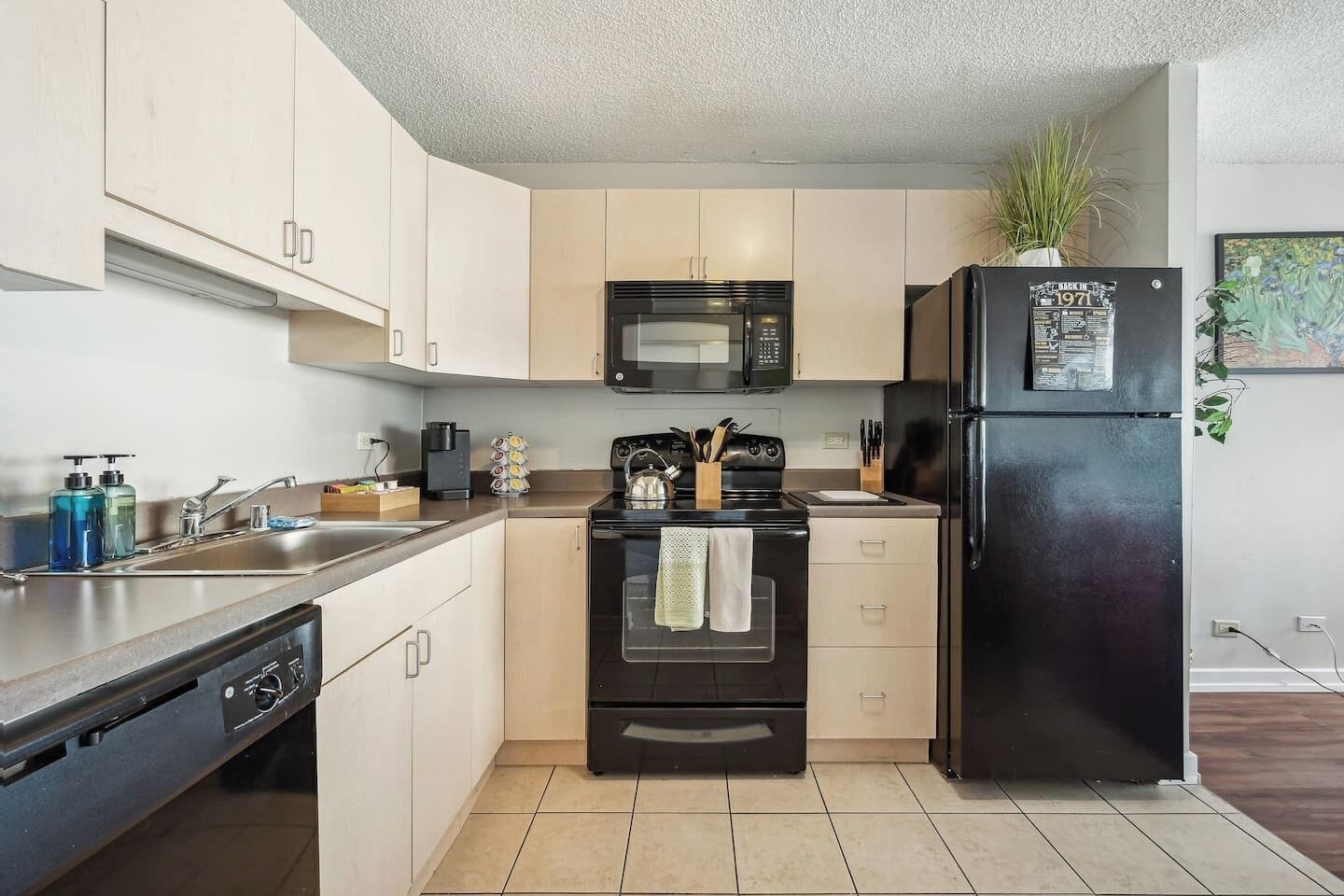 Kühlschrank, Mikrowelle, Ofen, Herdplatte