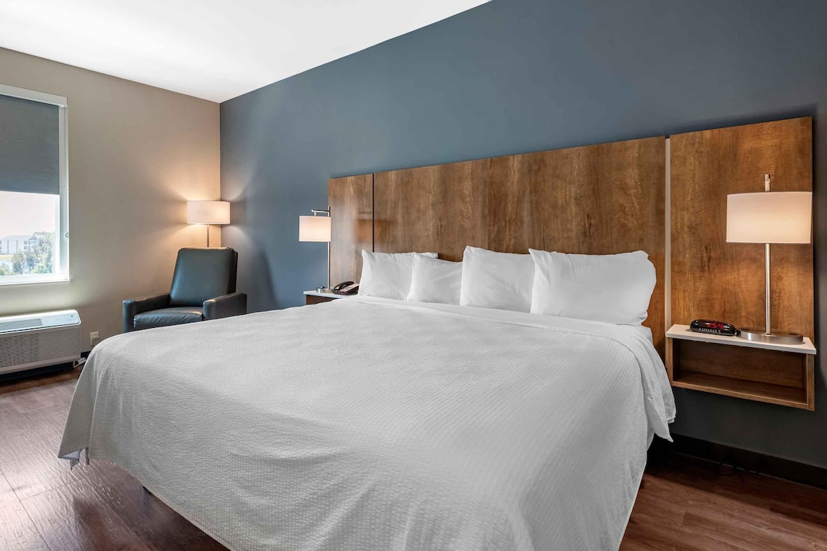 Standaard studio, 1 kingsize bed, niet-roken | Luxe beddengoed, een bureau, een laptopwerkplek