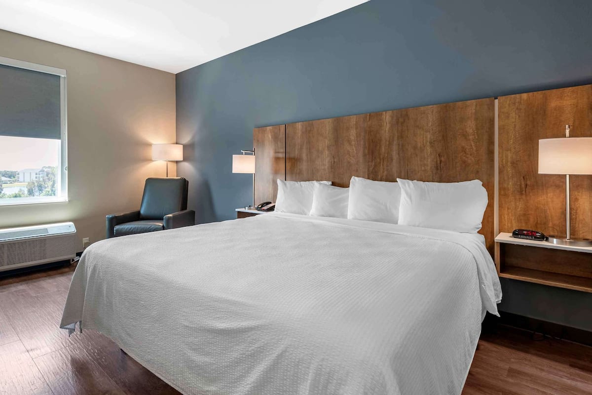 Estudio estándar, 1 cama King size, para no fumadores | Ropa de cama de alta calidad y escritorio
