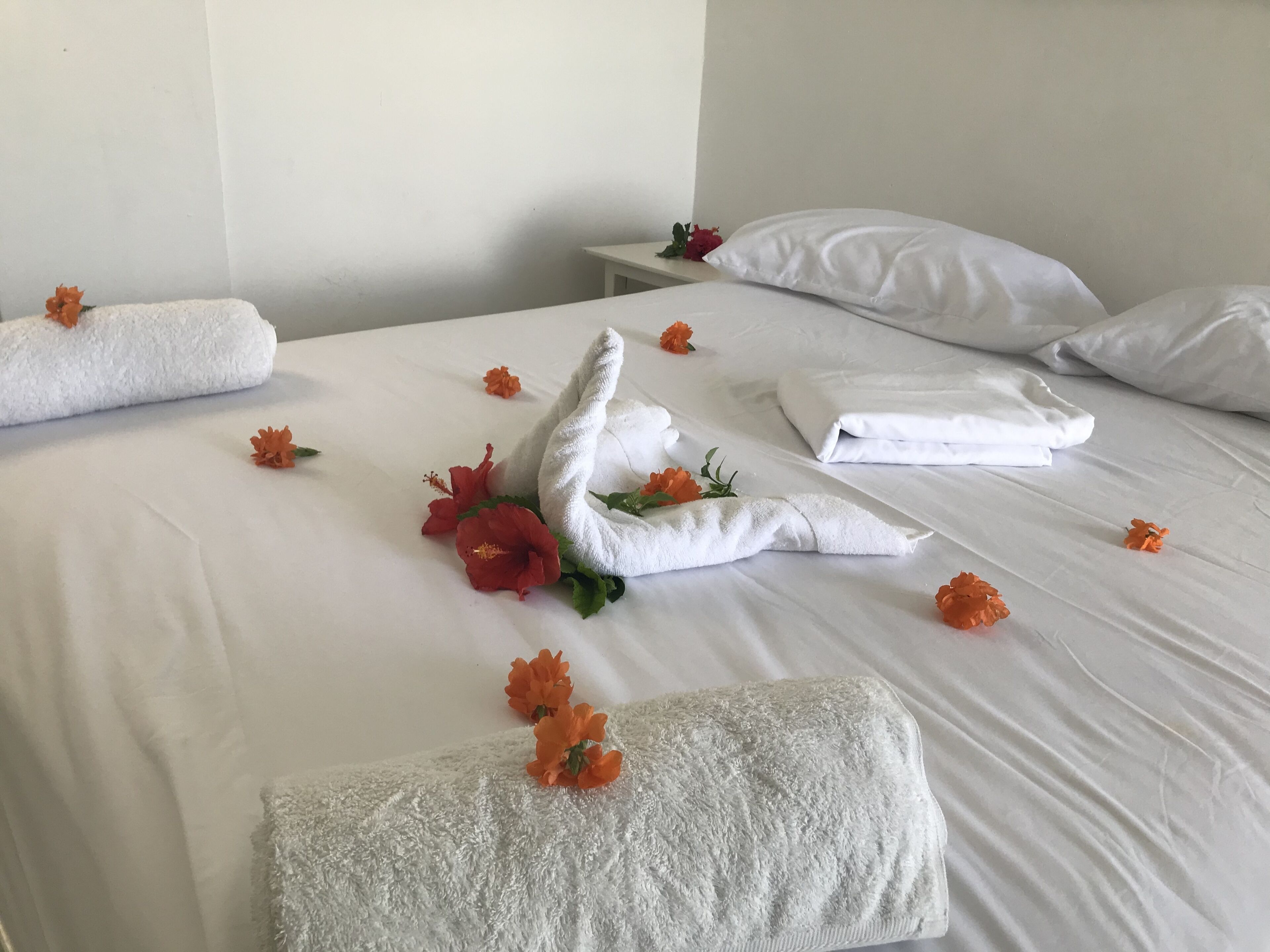 basic single room, 1 queen bed | 1 bedroom, individually furnished, blackout curtains, bed sheets