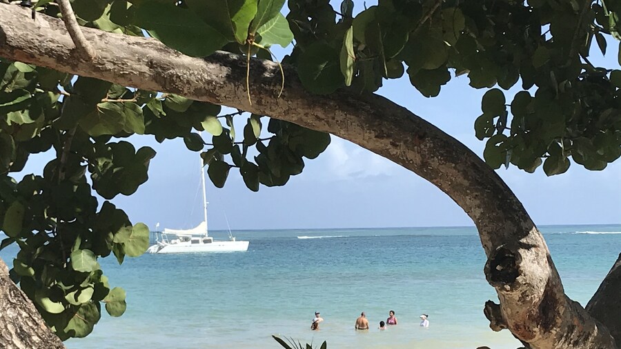 Bayahibe Hotel El Pulpo