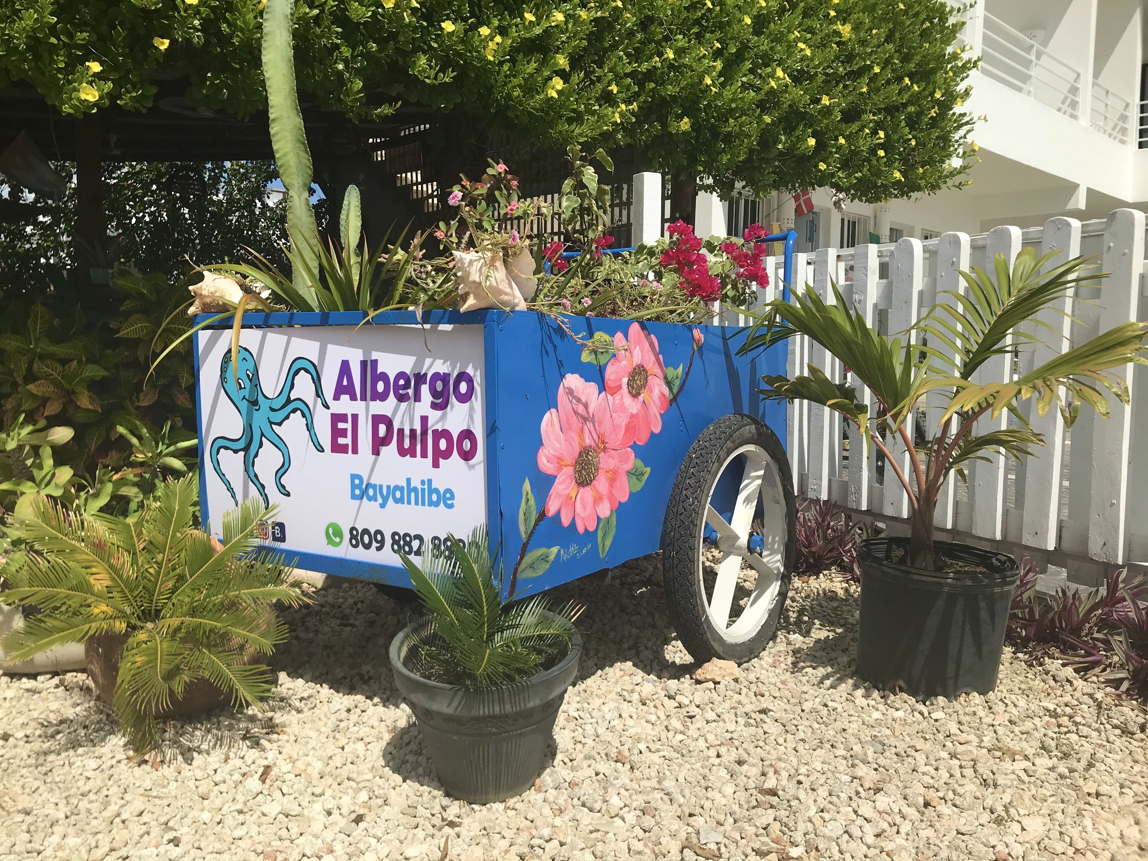 Een tuinkar met een bord voor Albergo El Pulpo Bayahibe, met een telefoonnummer en een decoratieve illustratie van een octopus.