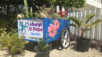 Een tuinkar met een bord voor Albergo El Pulpo Bayahibe, met een telefoonnummer en een decoratieve illustratie van een octopus.