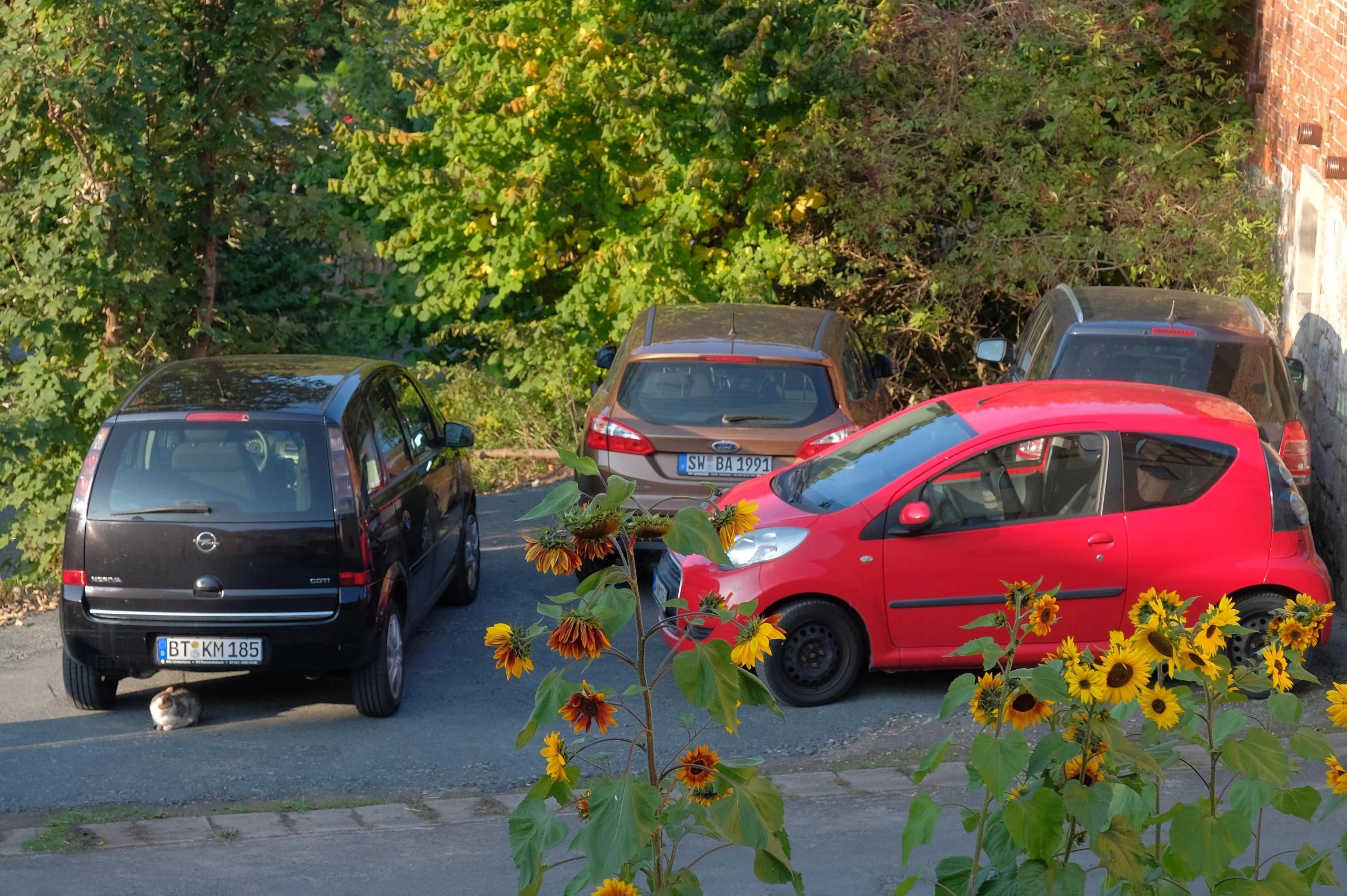 Ubetjent parkering (inkludert)