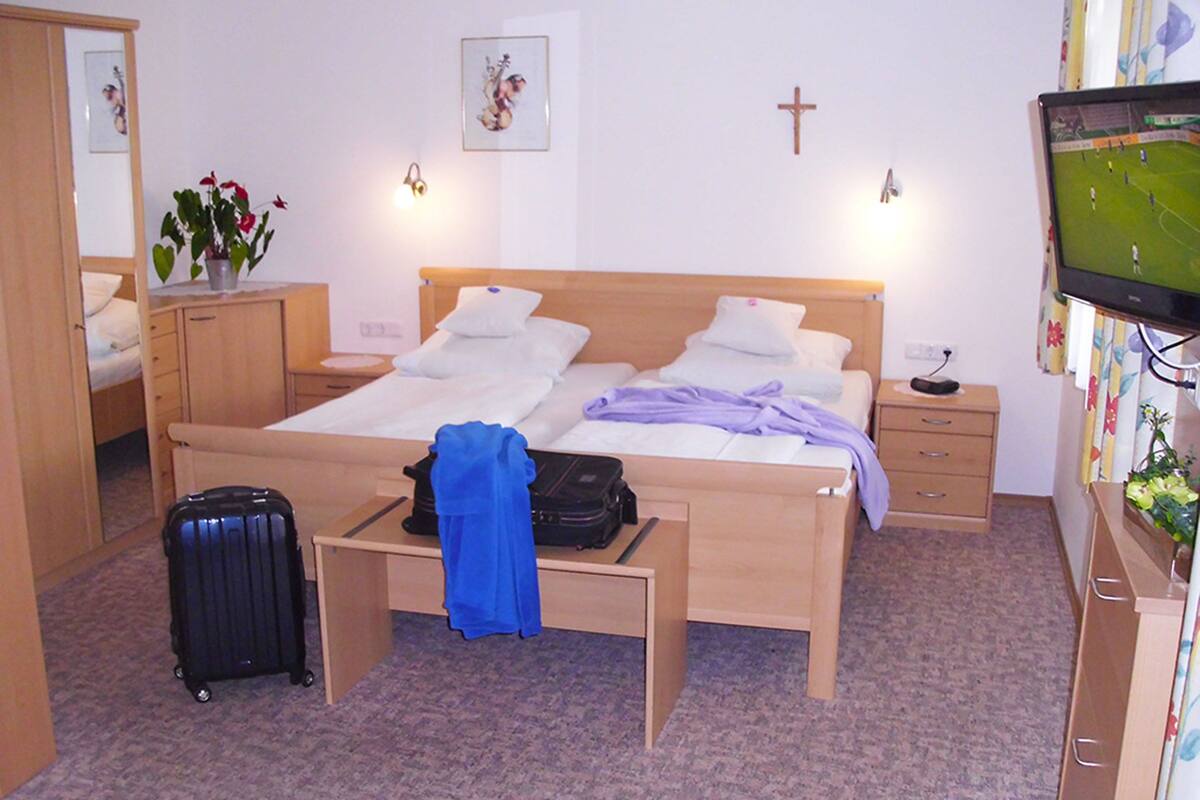 Habitación de hotel con una cama doble, una mesita de noche, televisión, escritorio con silla, maleta y una planta.