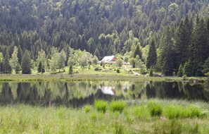 Hiking - Gästehaus Schmalzreich (Lam)