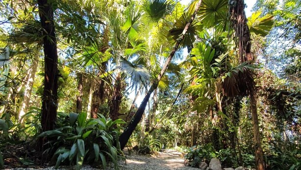 Exterior - Cassowary House (Kuranda)