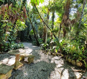 Garden - Cassowary House (Kuranda)