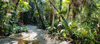 Cassowary House