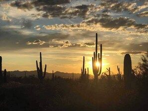 Paisaje desértico con cactus y un atardecer.