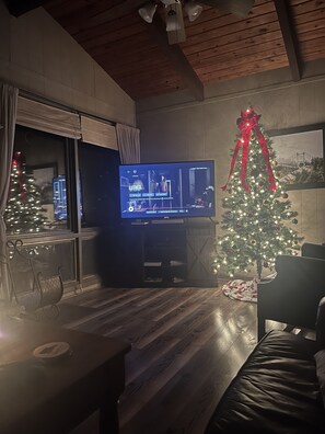 Smart TV, fireplace, DVD player, books