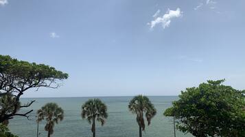 Vista desde la propiedad