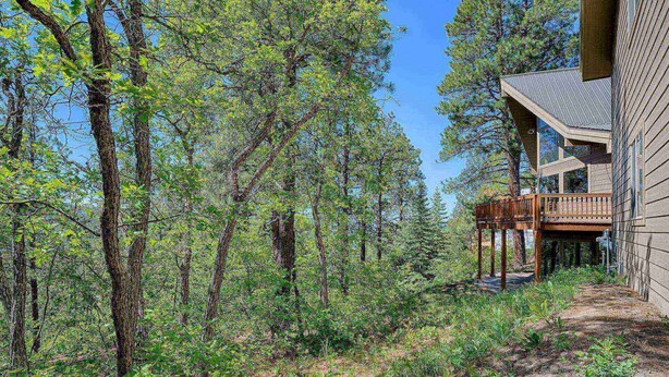 A cabin with a wooden deck and a covered porch, surrounded by dense forest.