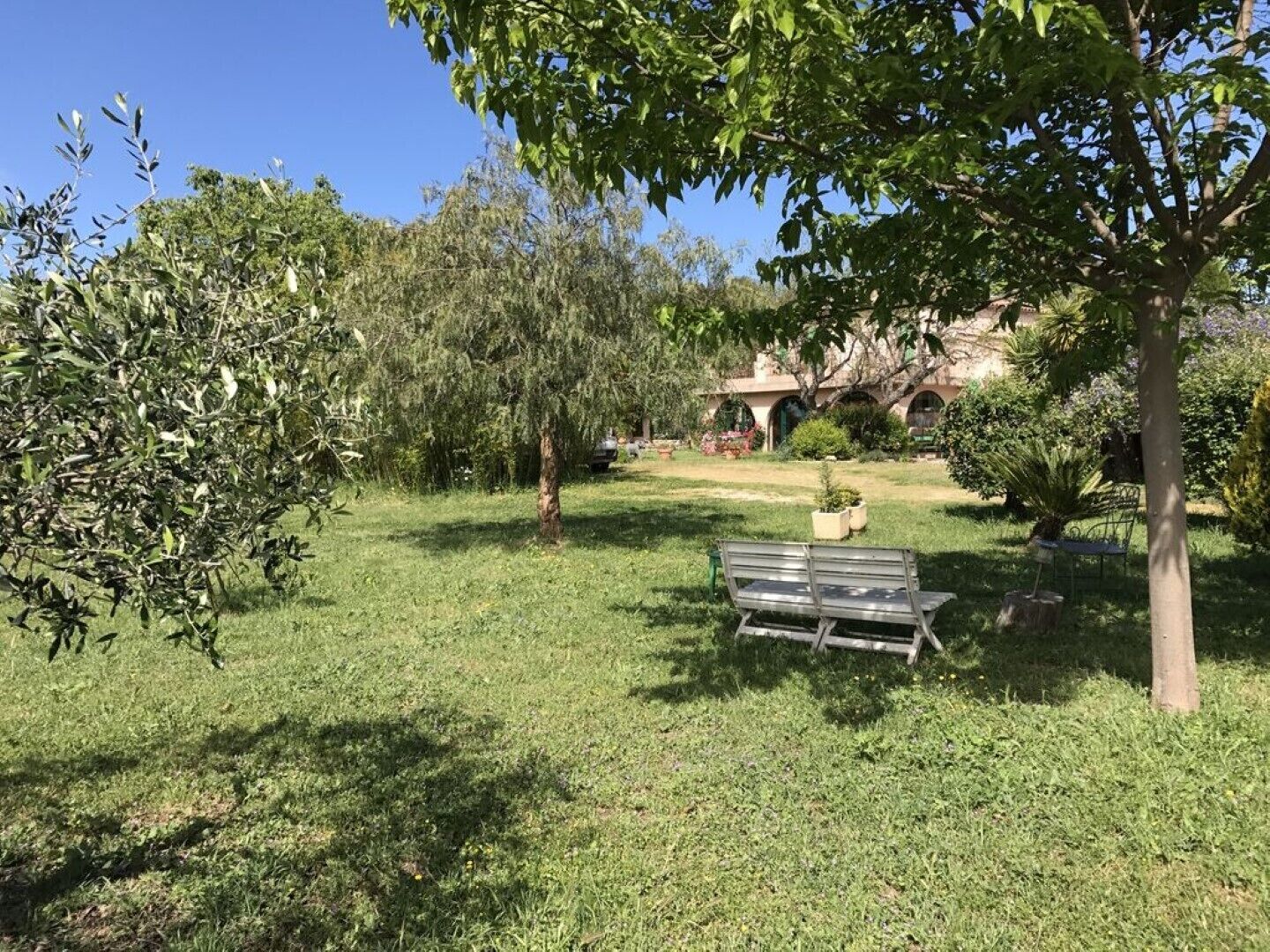 Un espace extérieur verdoyant avec un banc, des arbres et un bâtiment aux arches en arrière-plan.