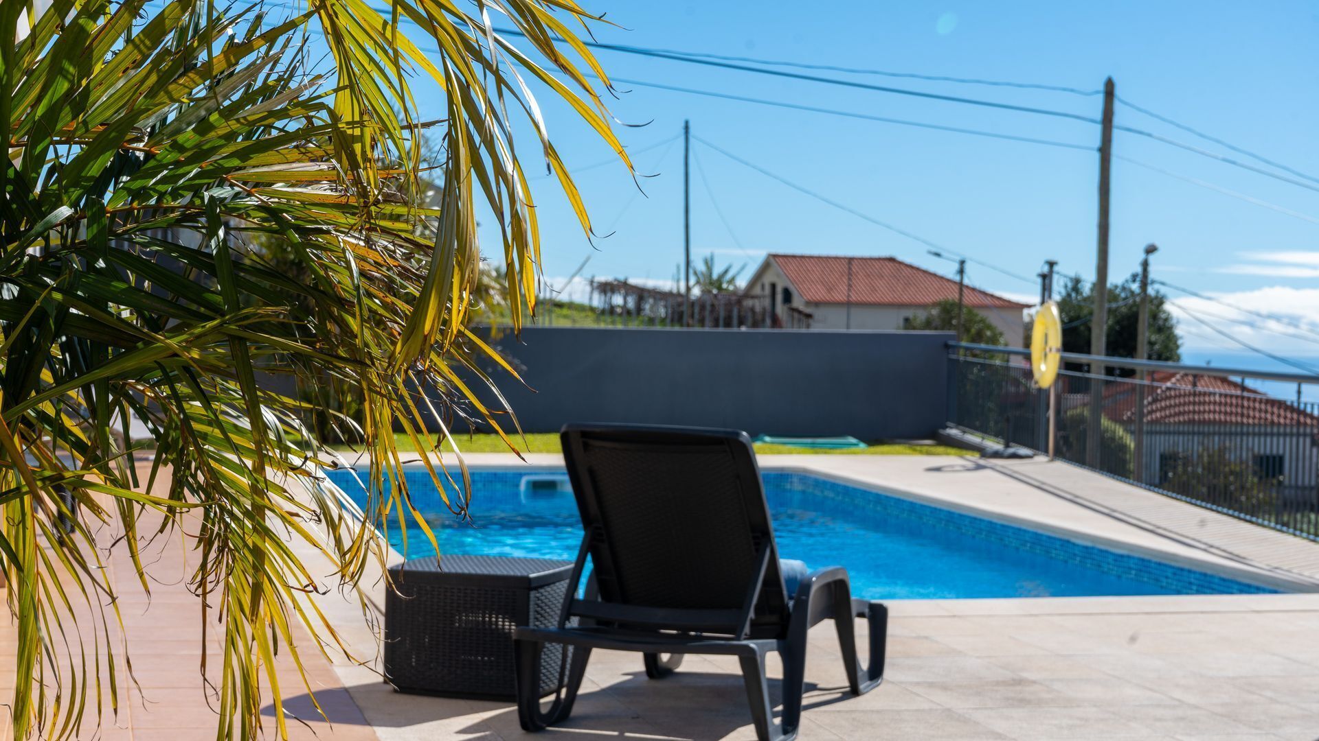 A poolside area with a lounge chair, a palm tree, and a swimming pool.