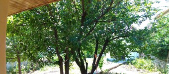 Inner Circle's House