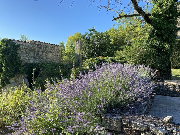 Property grounds - La Bonnetie - Beautiful stone cottage with pool (Livers-Cazelles)