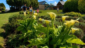 Een tuin met gele bloemen, een houten speelhuisje en een huis op de achtergrond.