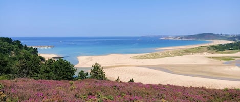 Plage à proximité
