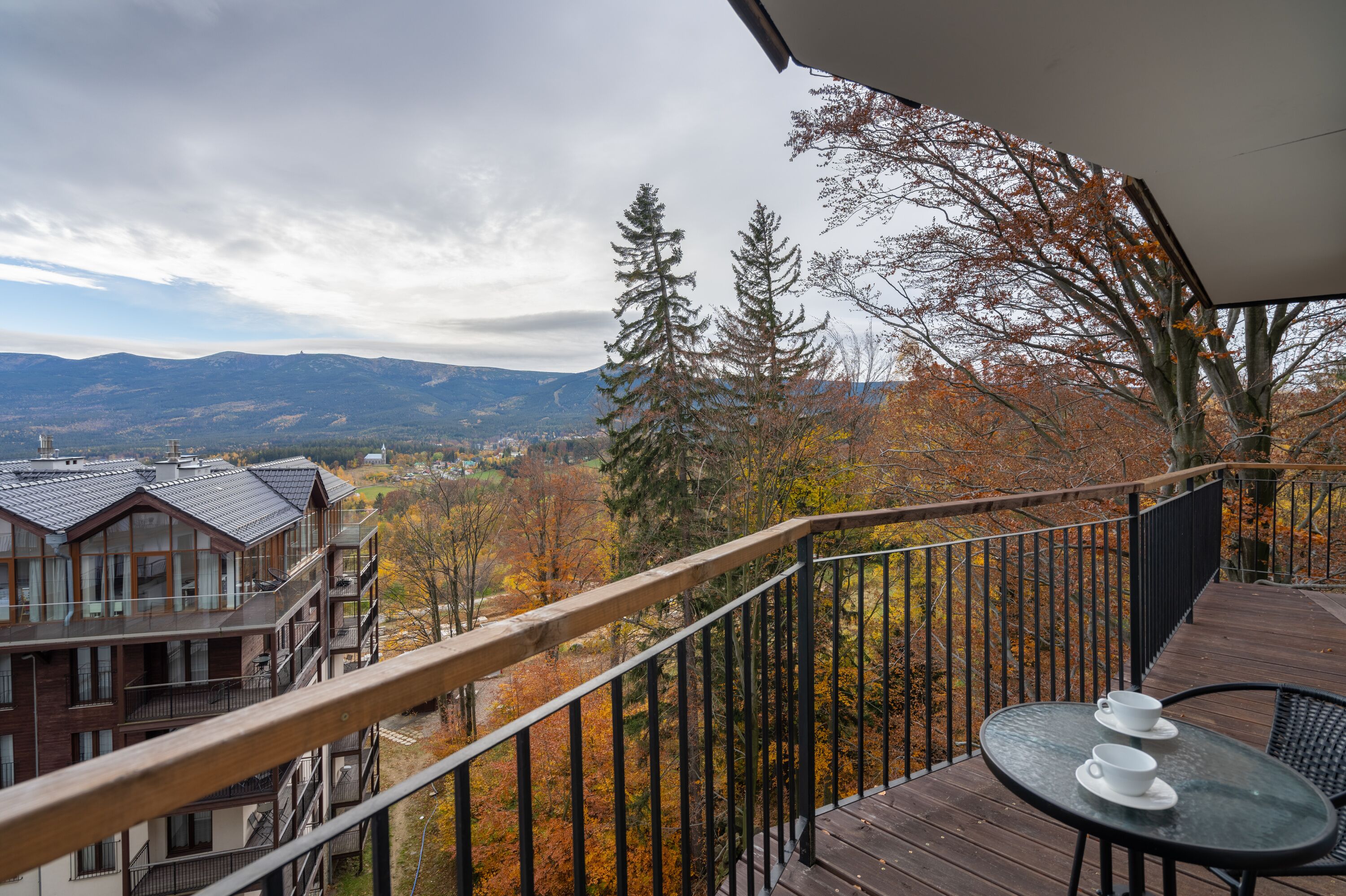 Deluxe Apartment | Balcony