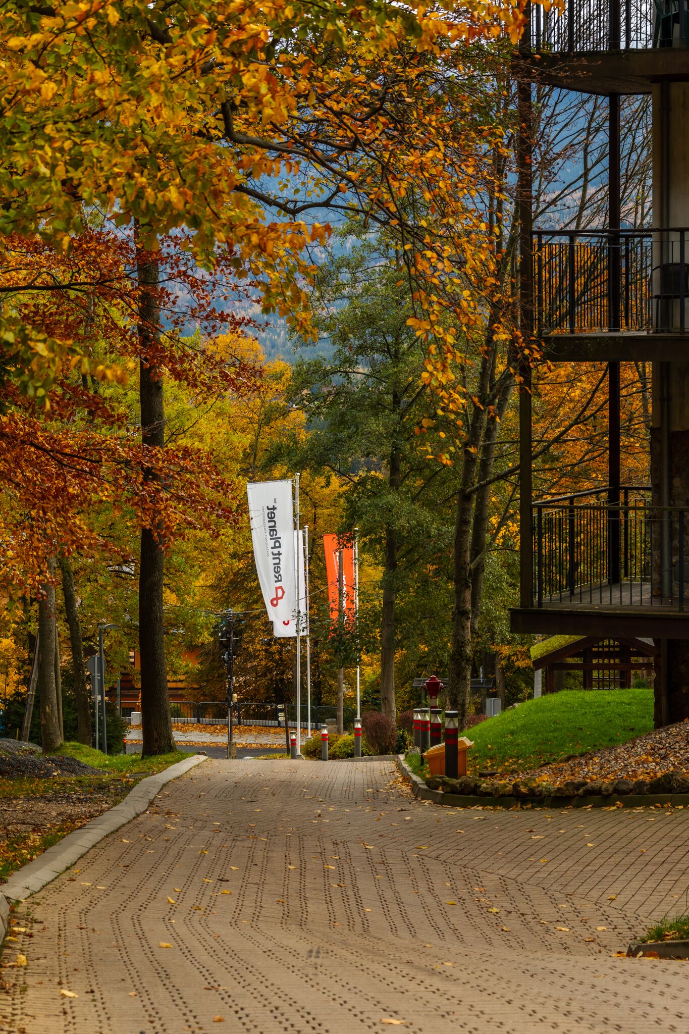 A paved pathway lined with trees displaying autumn foliage, leading to a building with a balcony.