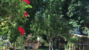 A garden with potted plants, a table, and chairs.