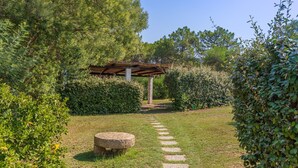 Un giardino con una panchina in pietra, un pergolato in legno e un sentiero in pietra che vi conduce.