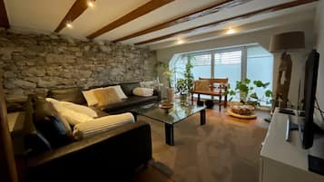 Télévision, cheminée, lecteur de DVD, chaßne hi-fi