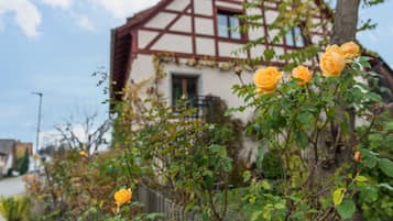 Details aan de buitenkant