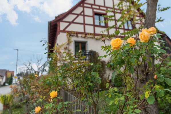 Exterior detail - Apartment 'Studiowohnung Haus 18' with Balcony and Wi-Fi (Überlingen)