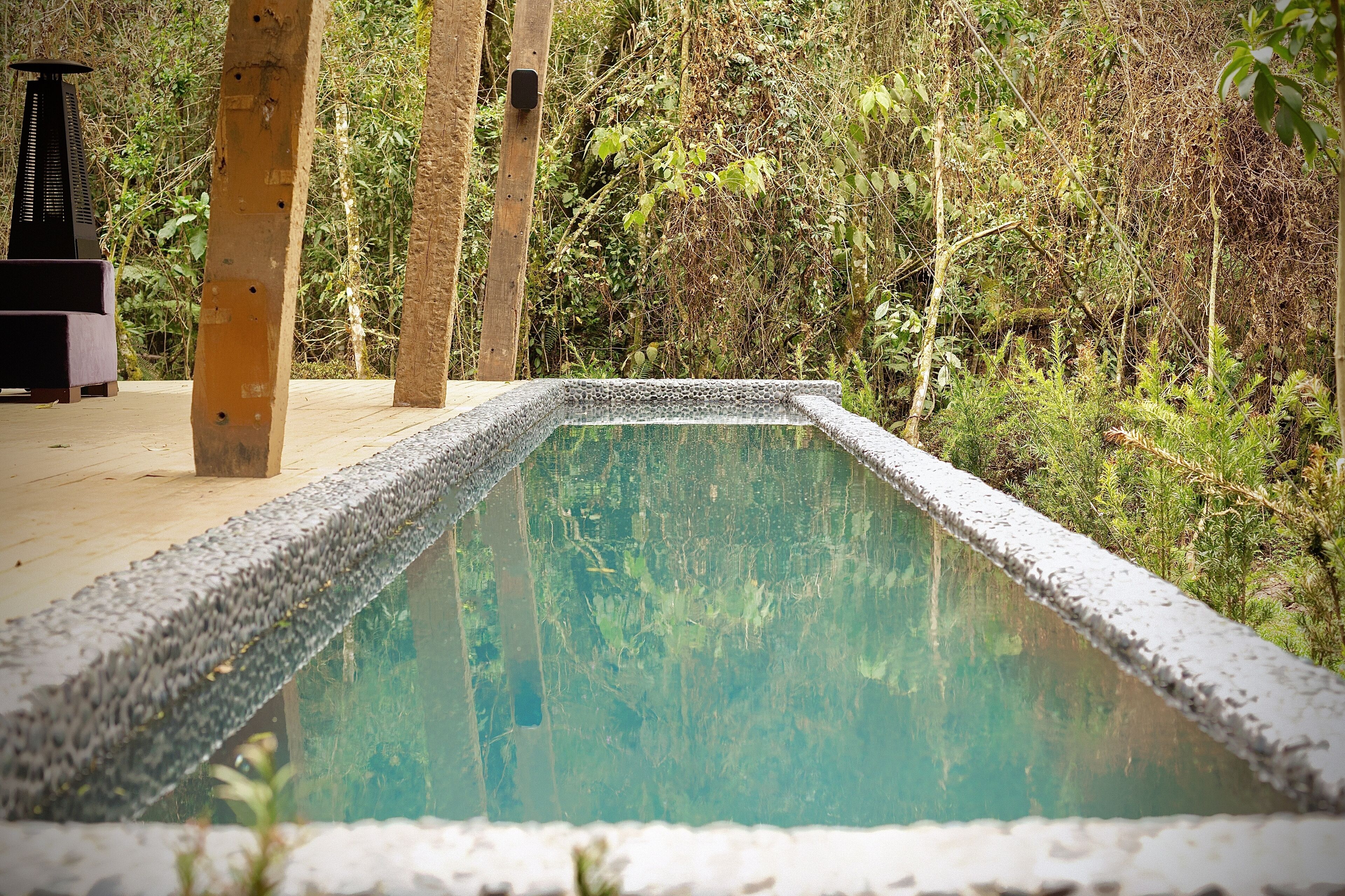 Piscina coberta, piscina a l'aire lliure i gandules 