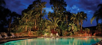 Location is everything! Clean and quaint condo in beautiful Park Shore Resort.