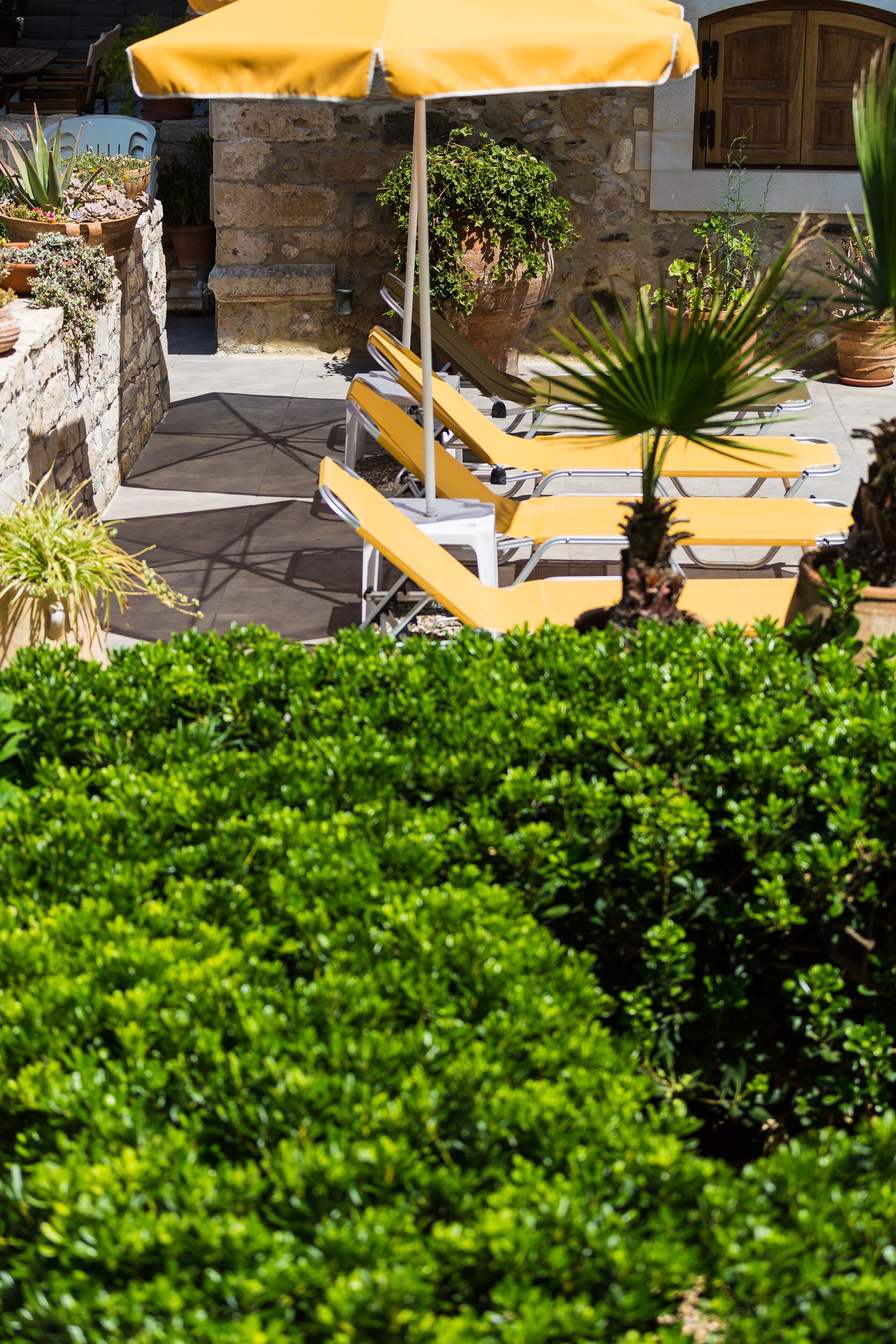 A patio area with yellow lounge chairs and a yellow umbrella, surrounded by potted plants and a stone wall.