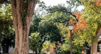 Heart of Historic District Steps to Nighlife by Lucky Savannah