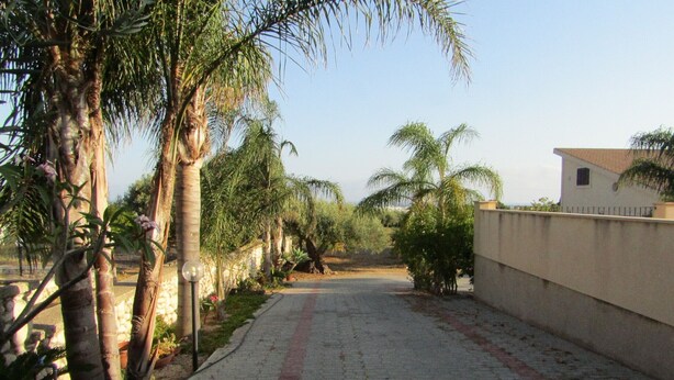 Un chemin pavé, bordé de palmiers et de plantes en pot, mène à un bâtiment à la façade beige.