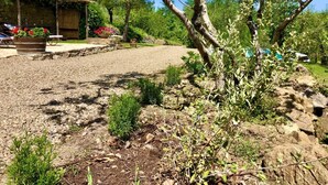 Un espace extérieur rustique agrémenté d’une pergola en bois, d’un chemin de gravier et de diverses plantes.