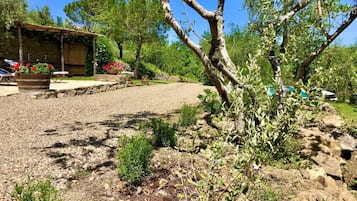 Áreas de la propiedad