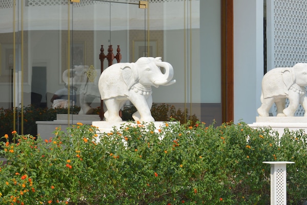 Piscina a l'aire lliure i gandules