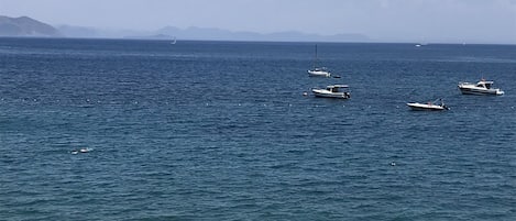 근처 해변, 비치 바