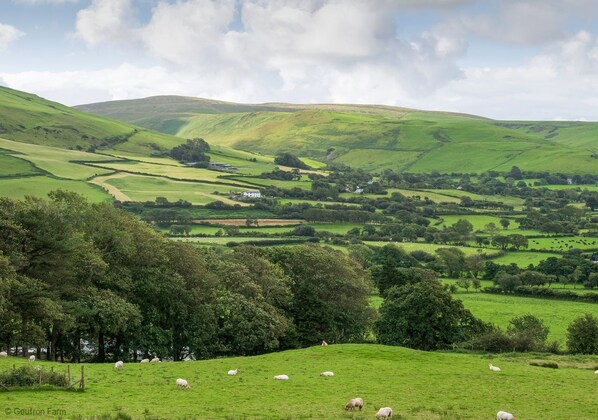 A rural landscape with rolling hills, green fields, and scattered trees.