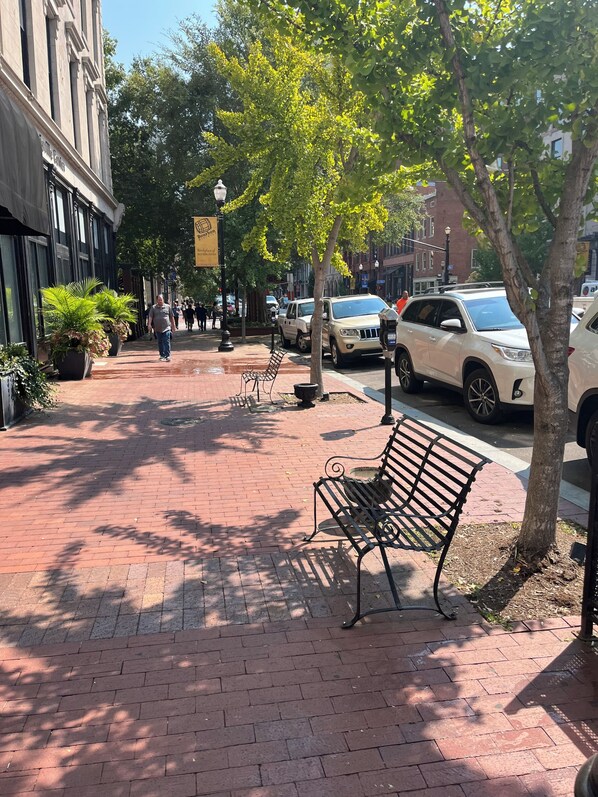 A brick-paved sidewalk with benches and potted plants.