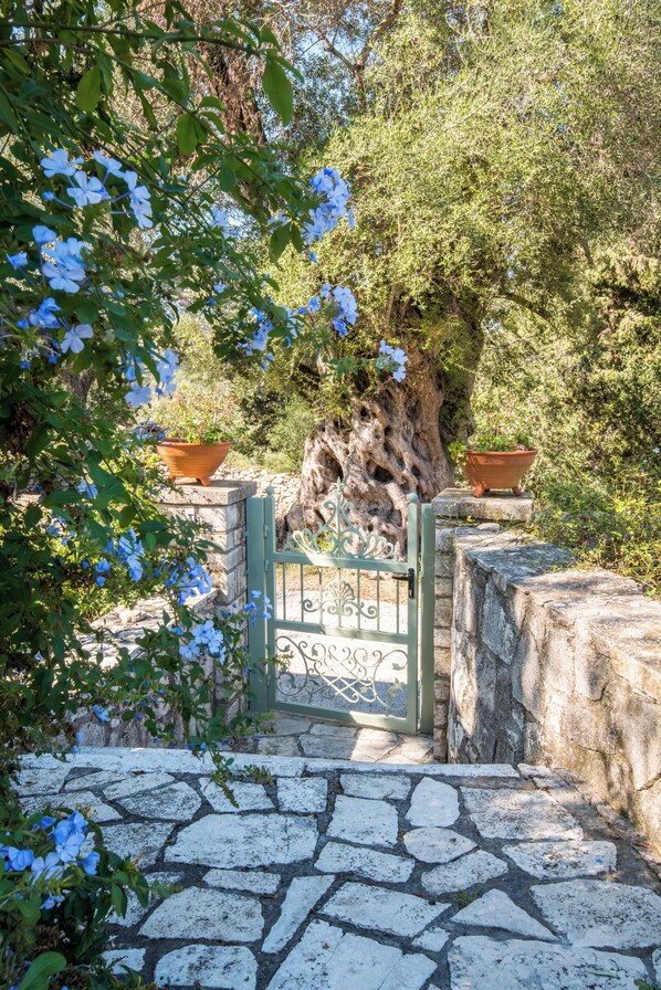 Property grounds - Private pool, stone Mansion, great views Villa Maritsa (Kourteika)