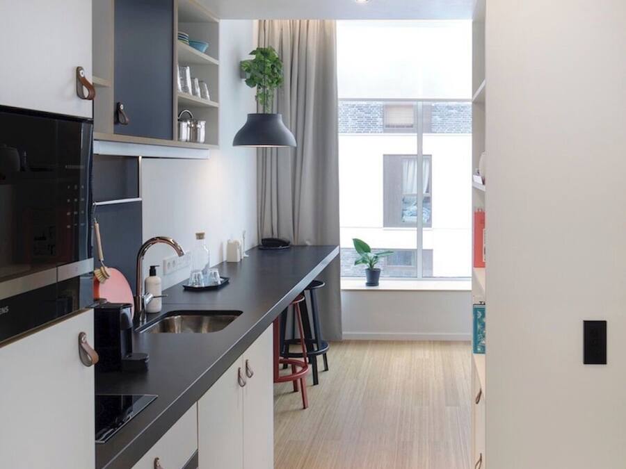 Eine moderne Küche mit schwarzem Arbeitsplatz, Edelstahlgeräten und einem Fenster mit Blick ins Freie.